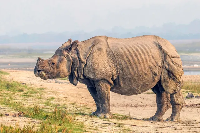 Chitwan National Park