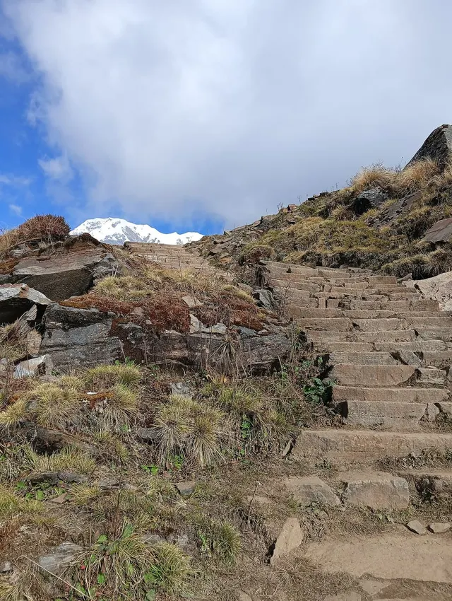 Annapurna rice terraces, late light