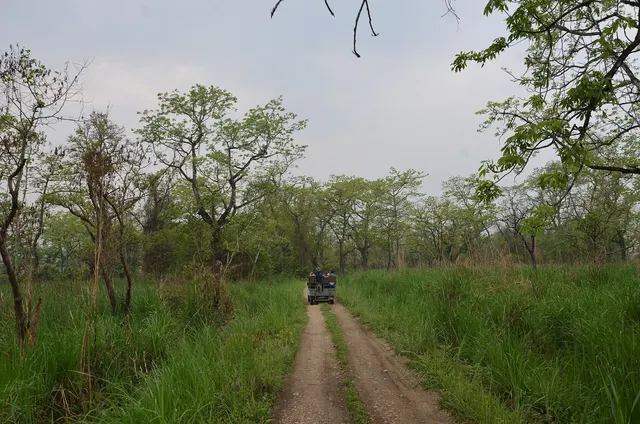 Jeep Safari