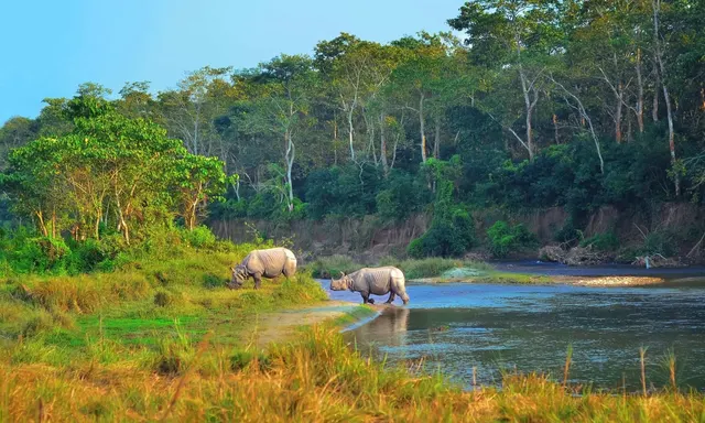 Chitwan National Park Tours & Excursions photo 1