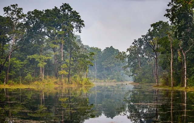 Chitwan National Park Tours & Excursions photo 2
