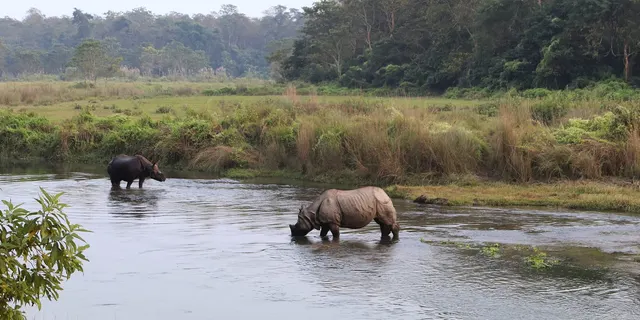 Chitwan National Park Tours & Excursions photo 6