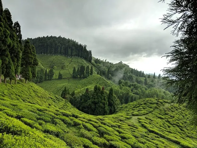 Darjeeling Sikkim Tour Package hero image