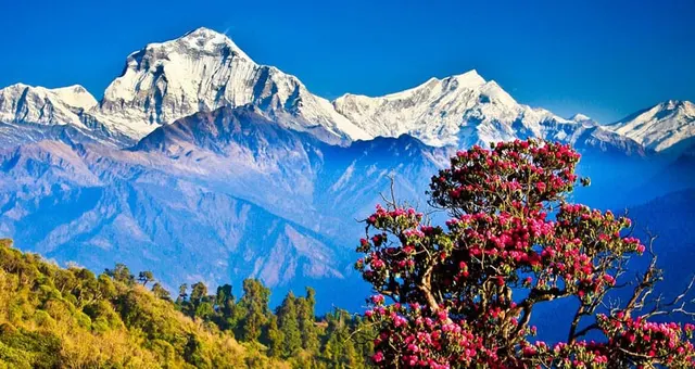 Ghorepani Poon Hill Trek photo 1