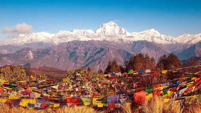 Ghorepani Poon Hill Trek photo 2