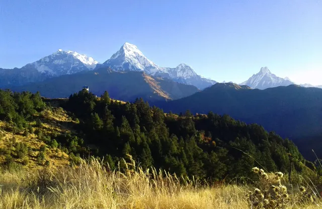Ghorepani Poon Hill Trek photo 4