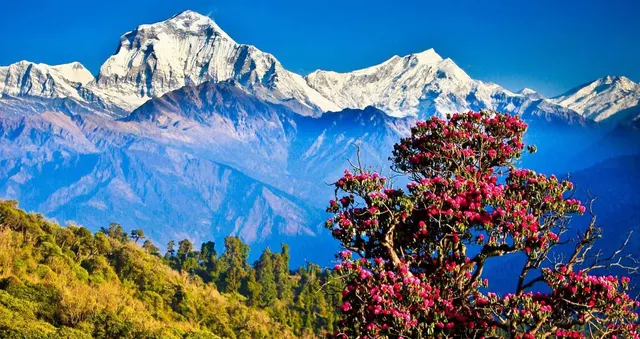Kathmandu Dhulikhel Tour photo 5
