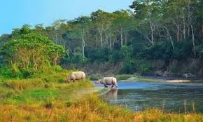 Nepal Tour Kathmandu-Chitwan 4Nights/5Days photo 1